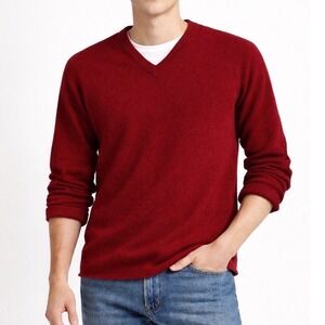 J.Crew Lambswool V-Neck Long Sleeve Sweater Preppy Academia Professor Men L Red